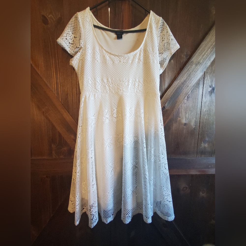 Torrid Skater Dress